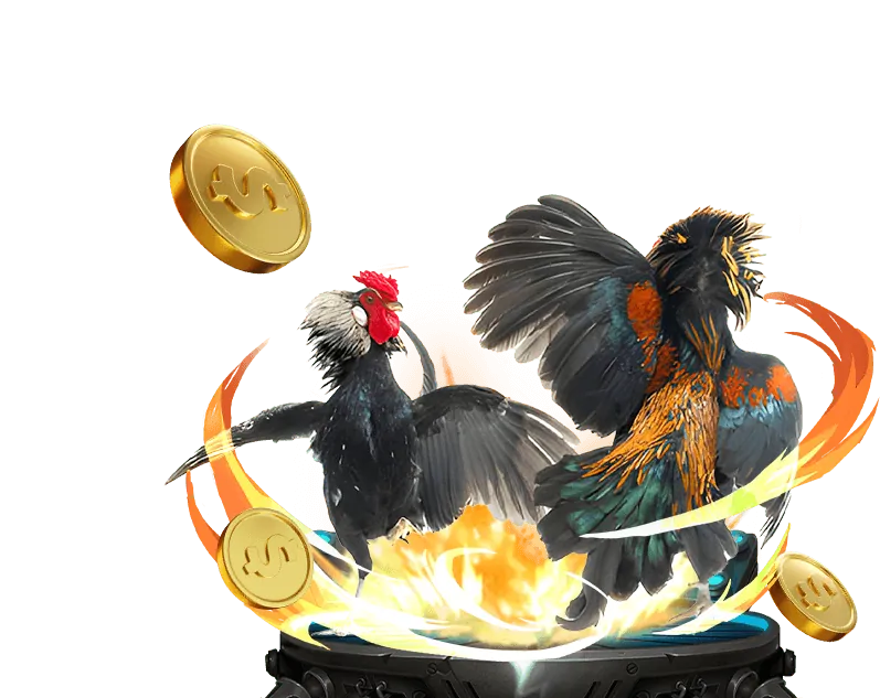 Hình ảnh tổng quan về nền tảng mmoo9 casino